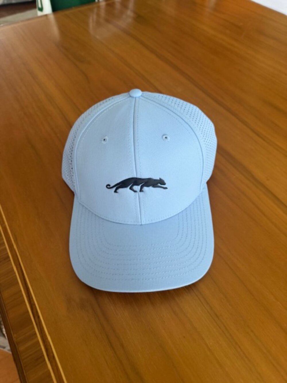 Exclusive Grove XXIII carlolina blue hat new with tags